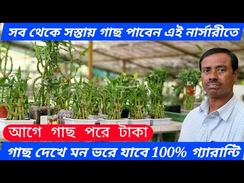 সব থেকে সস্তায় গাছ পাবেন এই নার্সারীতে: plant in cheap rate