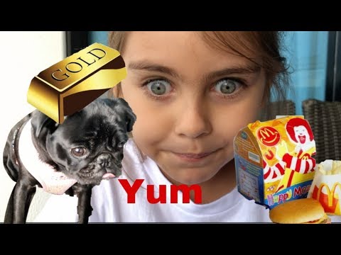 Eating Golden McDonald's With My Pug