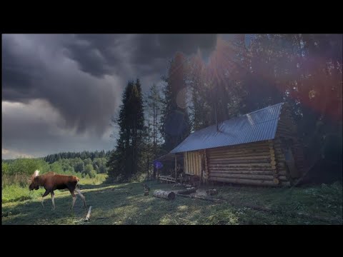 The Elk walked past the Log Cabin. Built a second Bench for the Arbor. Mowed the Grass in the Yard