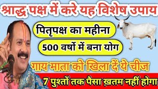 श्राद्ध पक्ष में करें यह उपाय।।पितृपक्ष श्राद्ध ।।पितृदोष का उपाय।। Pradeep Mishra ji sihore।।