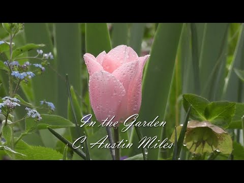 In the Garden | Relaxing Piano Hymn with Lyrics