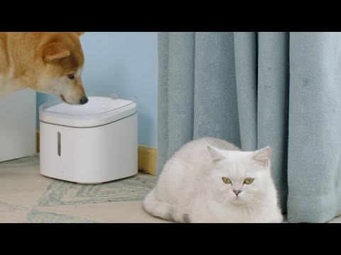 Xiaomi Smart Pet Fountain