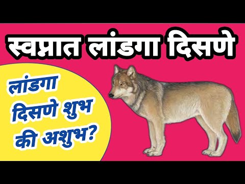 स्वप्नात लांडगा दिसणे | Swapnat Landga Disne | Swapnat Landga Disne In Marathi