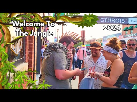 Sturgis Rally 2024 Welcome To The Jungle Downtown Main Street