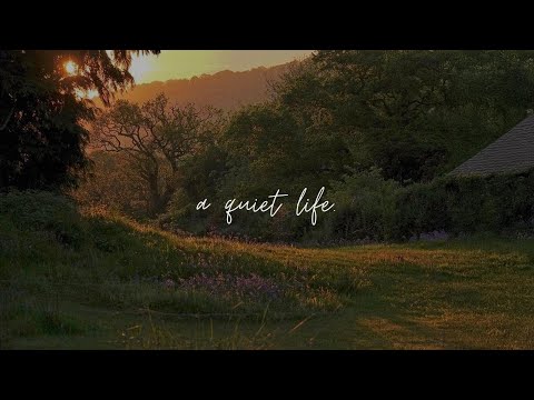 a comfort playlist for quiet people