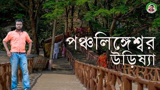 পঞ্চলিঙ্গেশ্বর - নীলগিরির গহ্বরে ঘুমিয়ে শিব