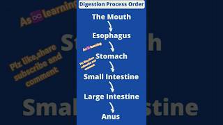 Digestion process order|digestive system #ctet #ctet2025 #ctetexam #tetexam #tet #digestivesystem