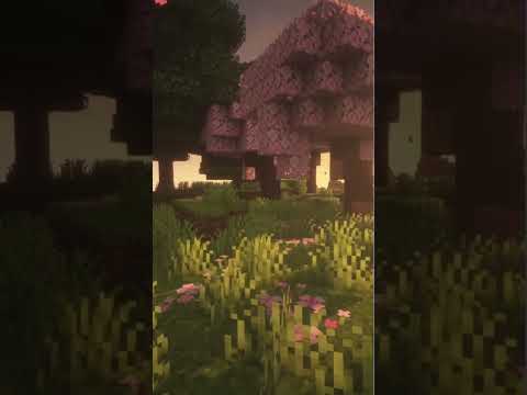 Sugi Cherry Groves forest #minecraft #minecraftmusic #forest #ambience #relaxation