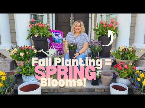 5 Popular Bulbs You Can Plant Now For Gorgeous Spring Color! Must-Know Home Depot Shopping Tips🌷