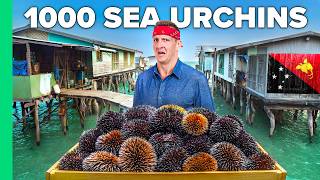 Cooking 1000 Sea Urchins!! Papua’s Ocean Tribe!!