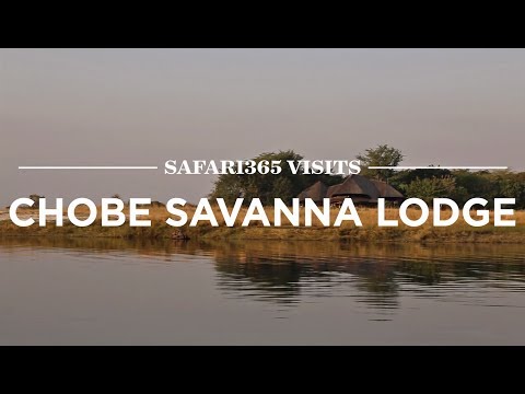 Chobe Savanna Lodge, Chobe National Park | Safari365