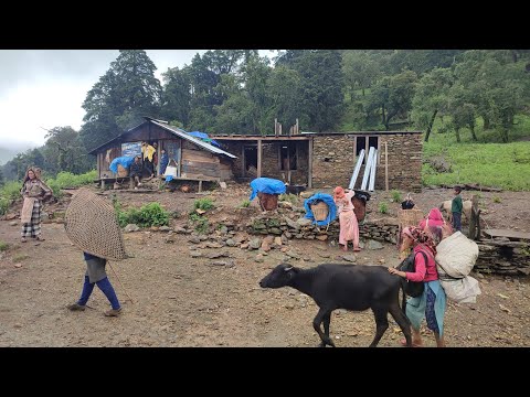 This is Himalayan Life | Nepal | Ep-330 | Beautiful Nepali Mountain Village Traditional Life