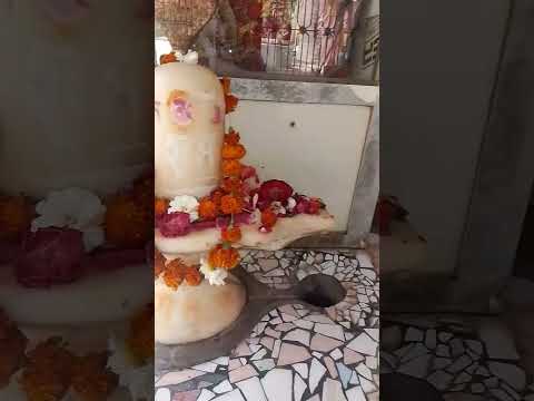 Shivratri ke din bhagwan shiv ke mandir mein diya jalane se kya fal milta hai#pandit#pradeepmishra