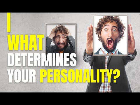 What Are the Determinants of Personality?