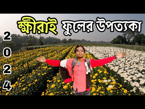 Khirai Flower Garden 2024 | Khirai Valley of Flowers | Khirai One Day Trip from Kolkata | Khirai