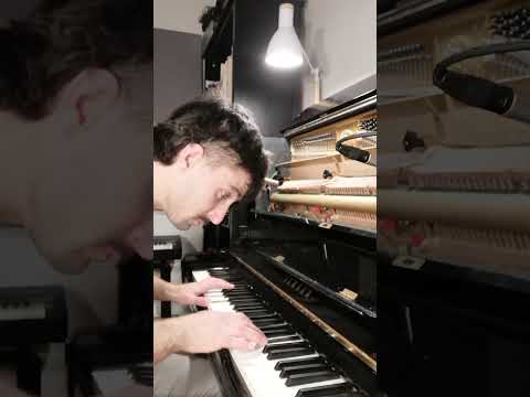 Schumann - Perfect happiness (Kinderszenen op.15 #5)