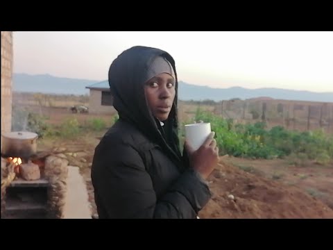 A few days in our lives | Lots of cooking! homesteading in South Africa