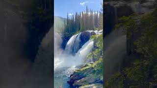 The Most Beautiful Place #naturevideo #NatureArtistry #NaturePerfection #NatureEscapes #nature