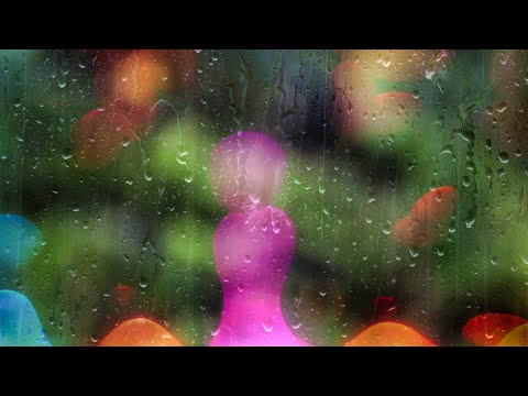 Rainforest Soundscape with Rain and Wildlife Sounds