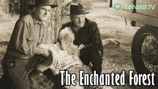 A Heartwarming Tale of Nature and Destiny | The Enchanted Forest | Family Classic