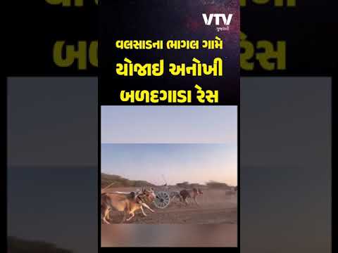 વલસાડના ભાગલ ગામે યોજાઇ પૌરાણિક બળદગાડા રેસ, જૂની સંસ્કૃતિને જીવંત રાખવાનો ઉમદા પ્રયાસ