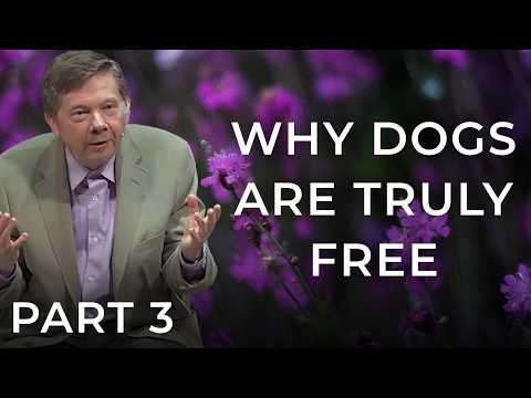 What Your Dog Knows About Living in the Now | Eckhart Tolle