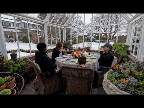 Planting Beans, Baking Spring Lime Tea Cookies & Cleaning the Greenhouse Cushions! 🤪🐈🙌