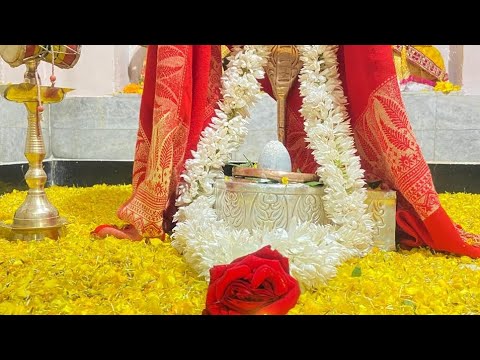 🔱भोलेनाथ भजन 🔱 शिवरात्रि भजन 🌿🙏🏻#viralvideo