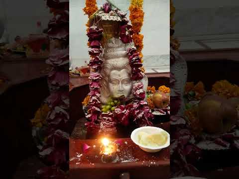 ॐनमह शिवाय#shortvideo #viralvideo @Anjudaiyabikaneri