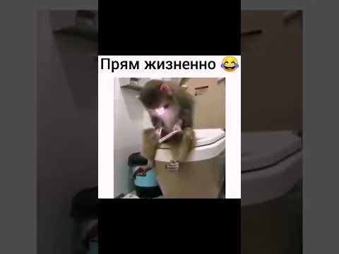 Когда ждёшь когда освободится туалет