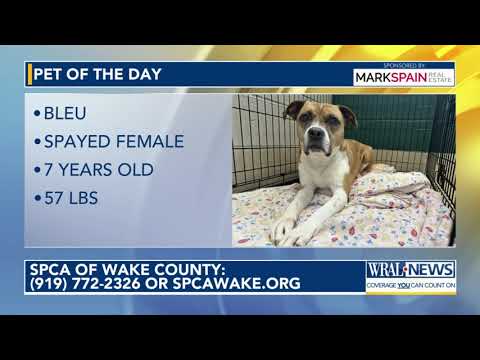 Pet of the Day for March 14, 2025