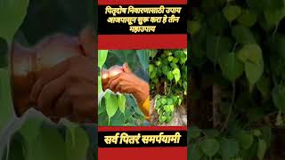 पितृपक्ष 2023/Pitru dosh nivaran/Pitru paksha 2023/पितृ दोष यावर उपाय