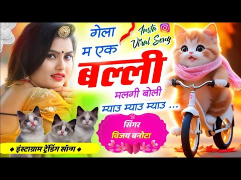 insta viral song | गेला म एक बिल्ली मिलगी बोली म्याऊ म्याऊ म्याऊ Veersingh banota Vijay banota