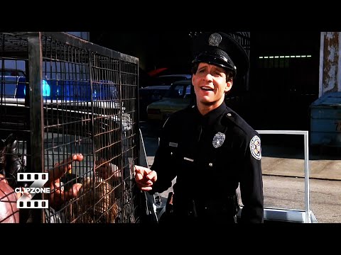 Police Academy 2: Their First Assignment  | Blue Oyster Fight  | ClipZone: Comedy Callbacks