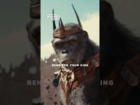 Kingdom of the Planet of the Apes | Kingdom Conquered