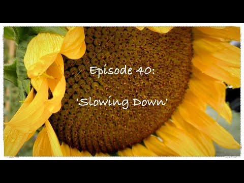 Episode 40:  'Slowing Down''