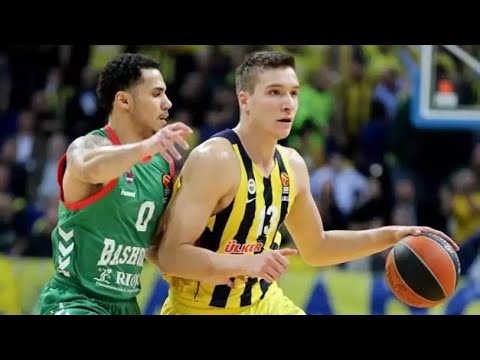 Bogdan Bogdanovic: Fenerbahce Star & Olympics Legend (2024)