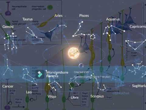 Lecture clip 2. The Astrological Signs: Full lecture link in video description.