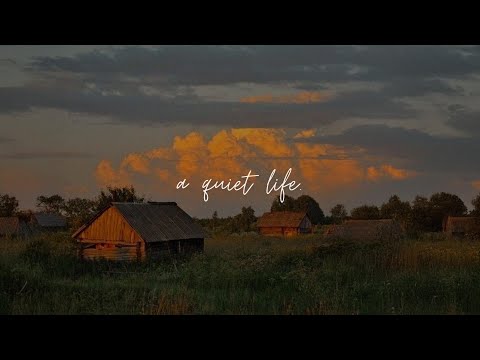 a calm playlist for a quiet life