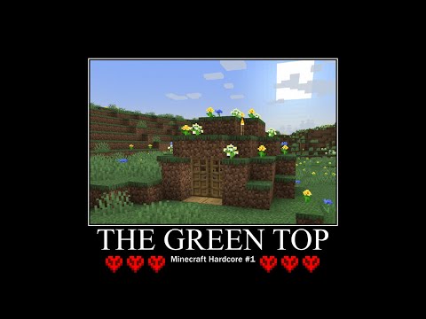 minecraft hardcore 1: the green top