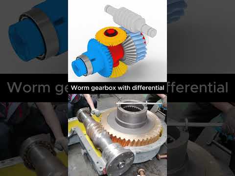 Worm gearbox with differential #mechanic #engineering #mechanism #solidworks #fusion #3danimation