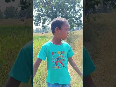 Long long grass vlog || Lugun Vlogger