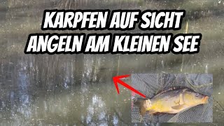 Karpfen an der Oberfläche ! Angeln am kleinen See