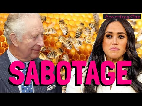 SABOTAGE - Meghan Has Bee In Her Bonnet 🐝🐝🐝