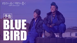 CF4「BLUE BIRD」予告