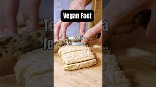 The Surprising Benefits of Tempeh