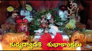 #shorts Kurma Dwadashi puja at my home 2021 | sri Kurma Jayanti | divyasri