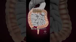 Why Does Constipation Happen #shorts #viralvideo - creativelearning3d