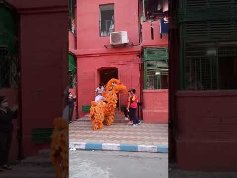 Chinese traditional Lion Dance during Lunar New Year celebrations at kolkata. 
#lunarnewyear2022