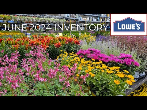 NEW ARRIVALS! Lowes Garden Center June 2024. New Plants at Lowes